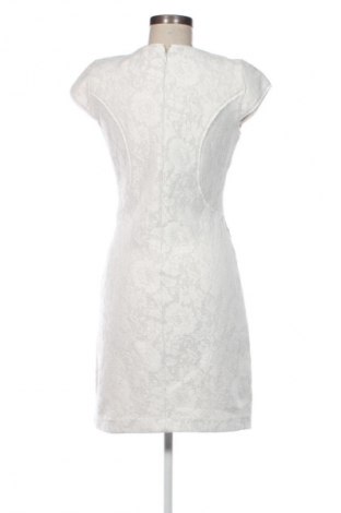 Kleid Reiss, Größe M, Farbe Ecru, Preis 66,48 €