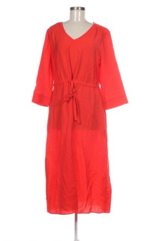 Φόρεμα Samoon, Μέγεθος XL, Χρώμα Κόκκινο, Τιμή 69,99 €