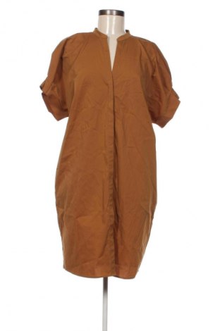 Šaty  Taifun, Veľkosť M, Farba Hnedá, Cena  109,95 €