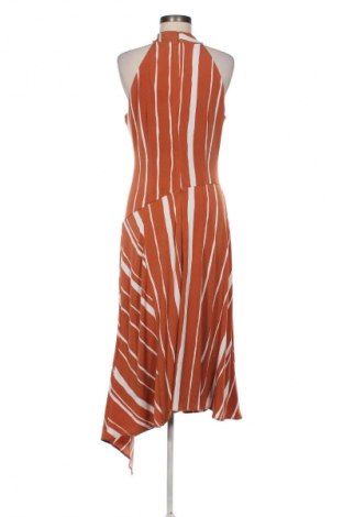 Φόρεμα Taylor, Μέγεθος M, Χρώμα Πολύχρωμο, Τιμή 98,99 €