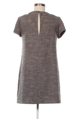 Kleid Zara, Größe S, Farbe Mehrfarbig, Preis 18,99 €