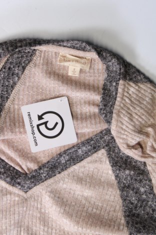 Γυναικείο πουλόβερ Here+There, Μέγεθος S, Χρώμα  Μπέζ, Τιμή 1,66 €