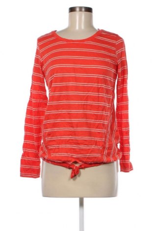 Damen Shirt Cecil, Größe M, Farbe Mehrfarbig, Preis 5,84 €
