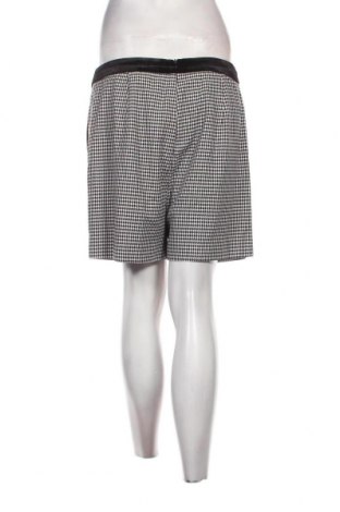 Γυναικείο κοντό παντελόνι Molly Bracken, Μέγεθος L, Χρώμα Πολύχρωμο, Τιμή 4,82 €