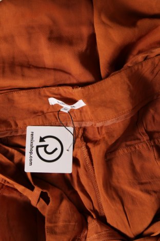 Dámské kalhoty  Collection, Velikost M, Barva Hnědá, Cena  667,00 Kč