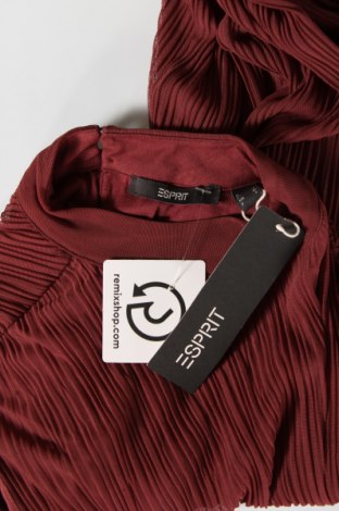 Γυναικείο αμάνικο μπλουζάκι Esprit, Μέγεθος M, Χρώμα Καφέ, Τιμή 14,95 €