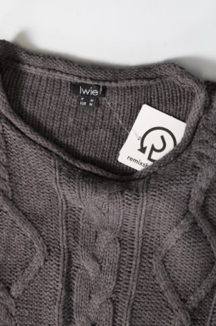 Γυναικείο πουλόβερ Iwie, Μέγεθος M, Χρώμα Γκρί, Τιμή 1,97 €