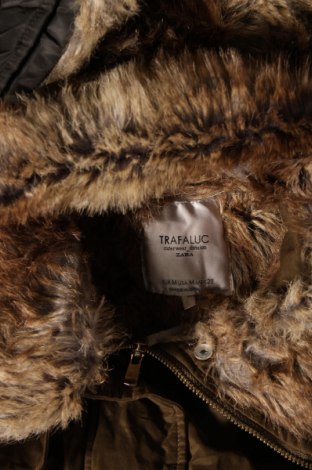 Damenjacke Zara Trafaluc, Größe M, Farbe Grün, Preis 5,85 €