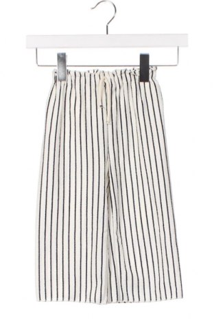 Pantaloni pentru copii Zara, Mărime 2-3y/ 98-104 cm, Culoare Multicolor, Preț 93,16 Lei