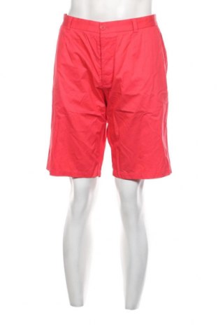 Herren Shorts H&M, Größe XL, Farbe Rot, Preis € 17,40