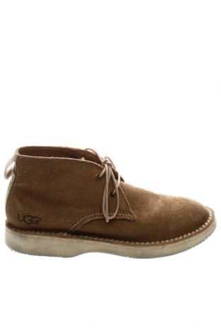 Мъжки обувки UGG Australia, Размер 40, Цвят Бежов, Цена 51,10 лв.