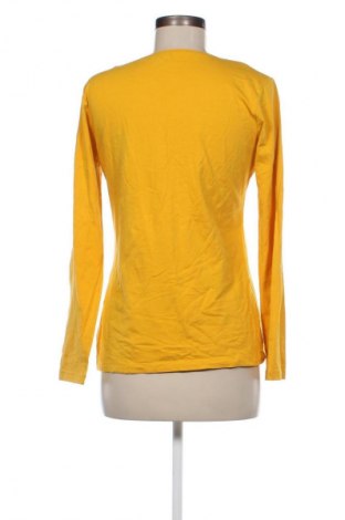 Damen Shirt, Größe L, Farbe Gelb, Preis € 5,99