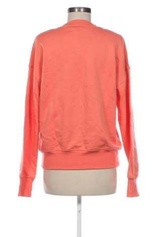 Damen Shirt Attic And Barn, Größe M, Farbe Mehrfarbig, Preis € 11,99