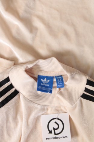 Γυναικεία μπλούζα Adidas Originals, Μέγεθος XS, Χρώμα  Μπέζ, Τιμή 18,49 €