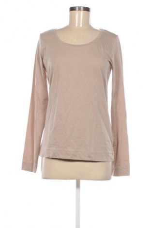 Damen Shirt Colours Of The World, Größe L, Farbe Beige, Preis € 6,49