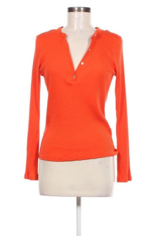 Damen Shirt Cotton Candy, Größe L, Farbe Orange, Preis € 13,61