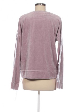 Damen Shirt DKNY, Größe M, Farbe Lila, Preis 55,49 €