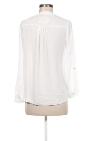 Damen Shirt Dorothy Perkins, Größe M, Farbe Weiß, Preis 7,99 €