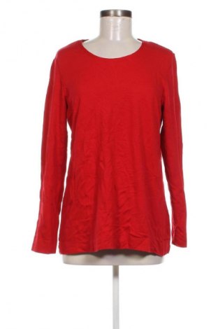 Damen Shirt Elena Miro, Größe S, Farbe Rot, Preis € 13,99