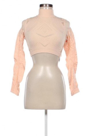 Damen Shirt Elisabetta Franchi, Größe S, Farbe Orange, Preis 82,99 €