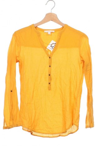 Damen Shirt Esprit, Größe XS, Farbe Orange, Preis € 10,99