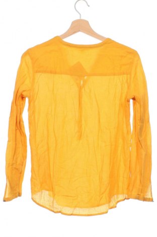 Damen Shirt Esprit, Größe XS, Farbe Orange, Preis € 10,99