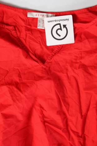 Damen Shirt Esprit, Größe M, Farbe Rot, Preis € 8,99