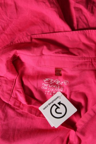 Damen Shirt Esprit, Größe L, Farbe Rosa, Preis € 23,99