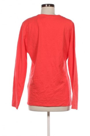 Damen Shirt Gina Benotti, Größe XL, Farbe Orange, Preis 13,49 €