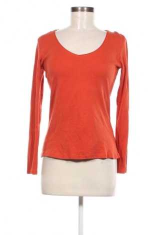 Damen Shirt Grain De Malice, Größe M, Farbe Orange, Preis 10,49 €