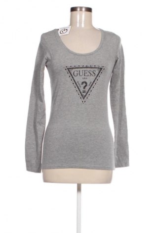 Damen Shirt Guess, Größe M, Farbe Grau, Preis 33,99 €