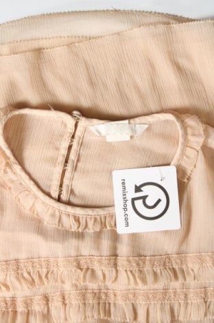 Damen Shirt H&M, Größe L, Farbe Beige, Preis € 5,99