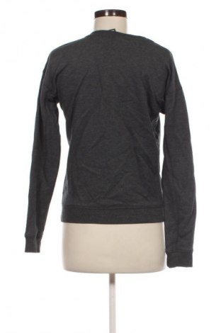 Damen Shirt Ivy Park, Größe XS, Farbe Grau, Preis € 13,99