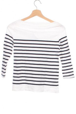 Damen Shirt Mango, Größe XS, Farbe Mehrfarbig, Preis € 7,99