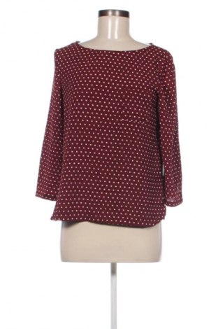 Damen Shirt Mango, Größe XS, Farbe Mehrfarbig, Preis 18,99 €