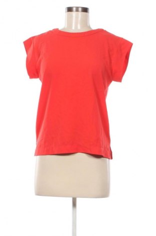 Damen Shirt Mango, Größe XS, Farbe Rot, Preis € 12,99