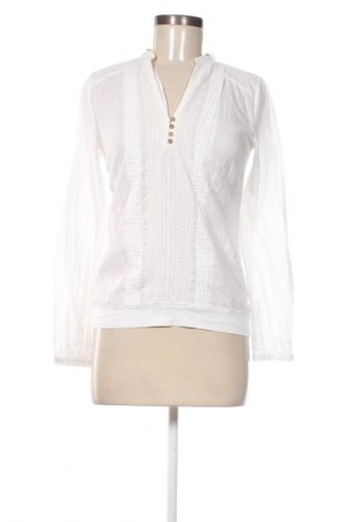 Damen Shirt Massimo Dutti, Größe S, Farbe Weiß, Preis 15,99 €