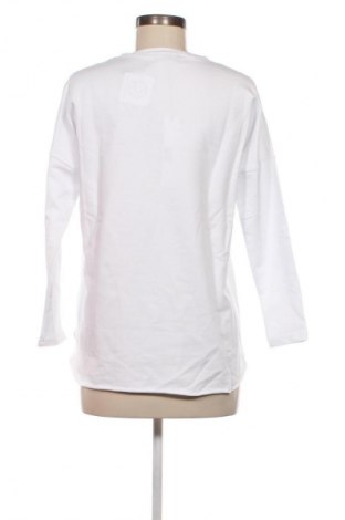 Damen Shirt Massimo Rebecchi, Größe S, Farbe Weiß, Preis 40,99 €