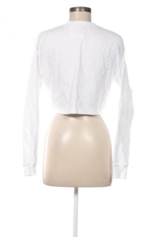 Damen Shirt Missguided, Größe XS, Farbe Weiß, Preis € 5,99