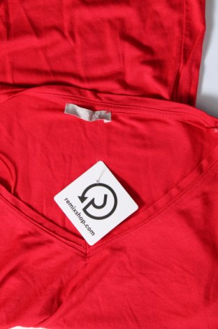 Damen Shirt Orsay, Größe S, Farbe Rot, Preis € 5,99