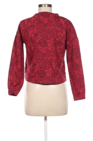 Damen Shirt Oviesse, Größe XS, Farbe Mehrfarbig, Preis € 13,49