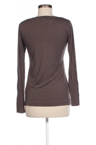 Damen Shirt Patrizia Dini, Größe M, Farbe Braun, Preis 23,99 €