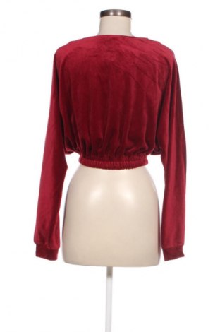 Damen Shirt Piazza Italia, Größe L, Farbe Rot, Preis € 8,99