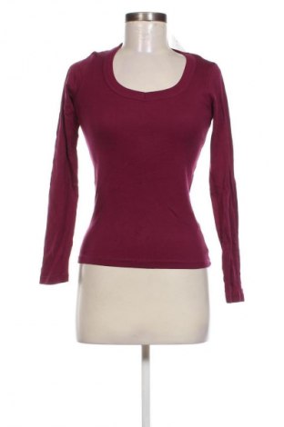 Damen Shirt Piazza Italia, Größe M, Farbe Lila, Preis € 4,49