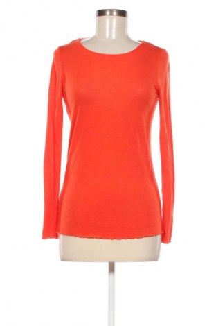 Damen Shirt Stefanel, Größe M, Farbe Orange, Preis € 29,99