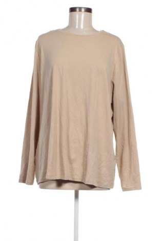 Damen Shirt Studio Untold by Ulla Popken, Größe XXL, Farbe Beige, Preis 12,49 €