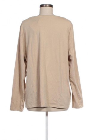 Damen Shirt Studio Untold by Ulla Popken, Größe XXL, Farbe Beige, Preis 12,49 €