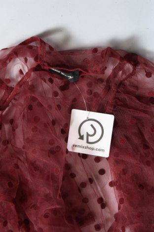 Damen Shirt Tally Weijl, Größe S, Farbe Rot, Preis € 4,99