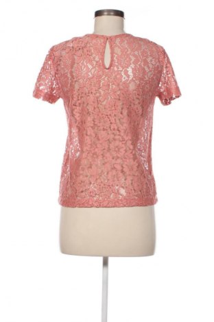 Damen Shirt Terranova, Größe S, Farbe Rosa, Preis € 4,99