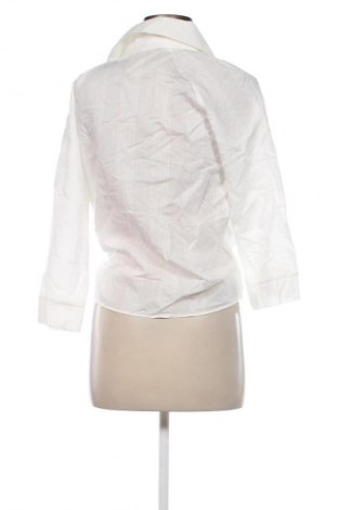 Damen Shirt Zara, Größe S, Farbe Weiß, Preis 8,49 €